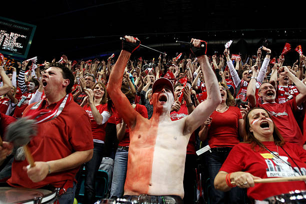 这种沉稳的 这种沉稳的